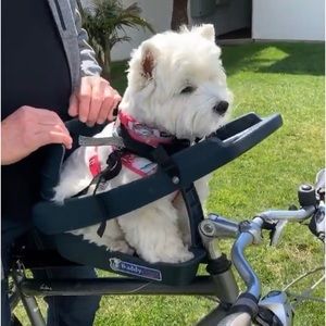 Bike Buddy , wonderful way to tote your loved small dog around, Pippa loved it !